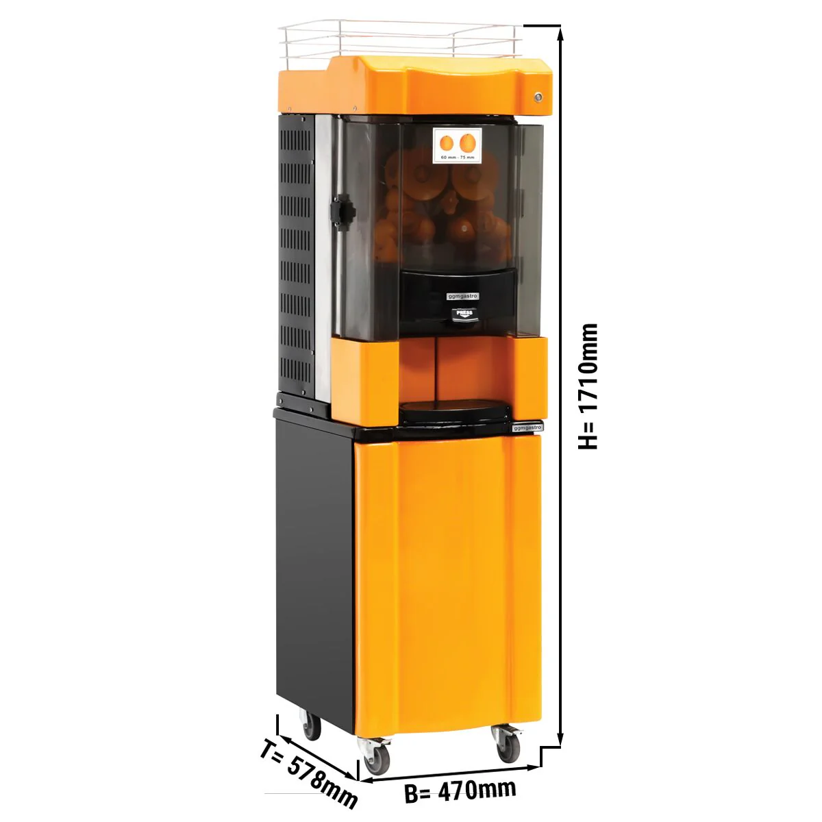 Miniatyr 2