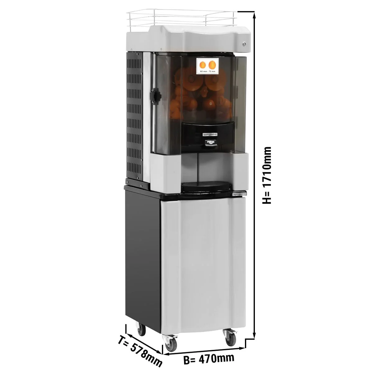 Miniatyr 2