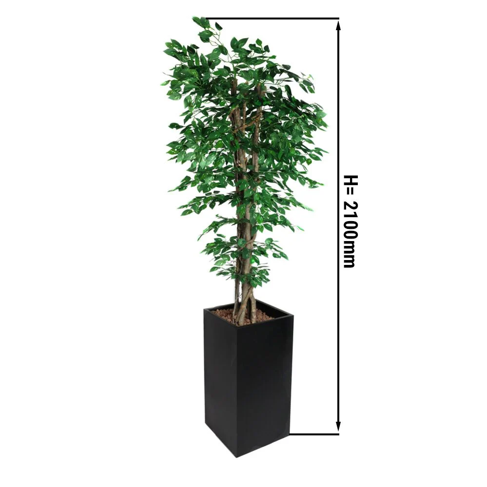 Miniatyr 2