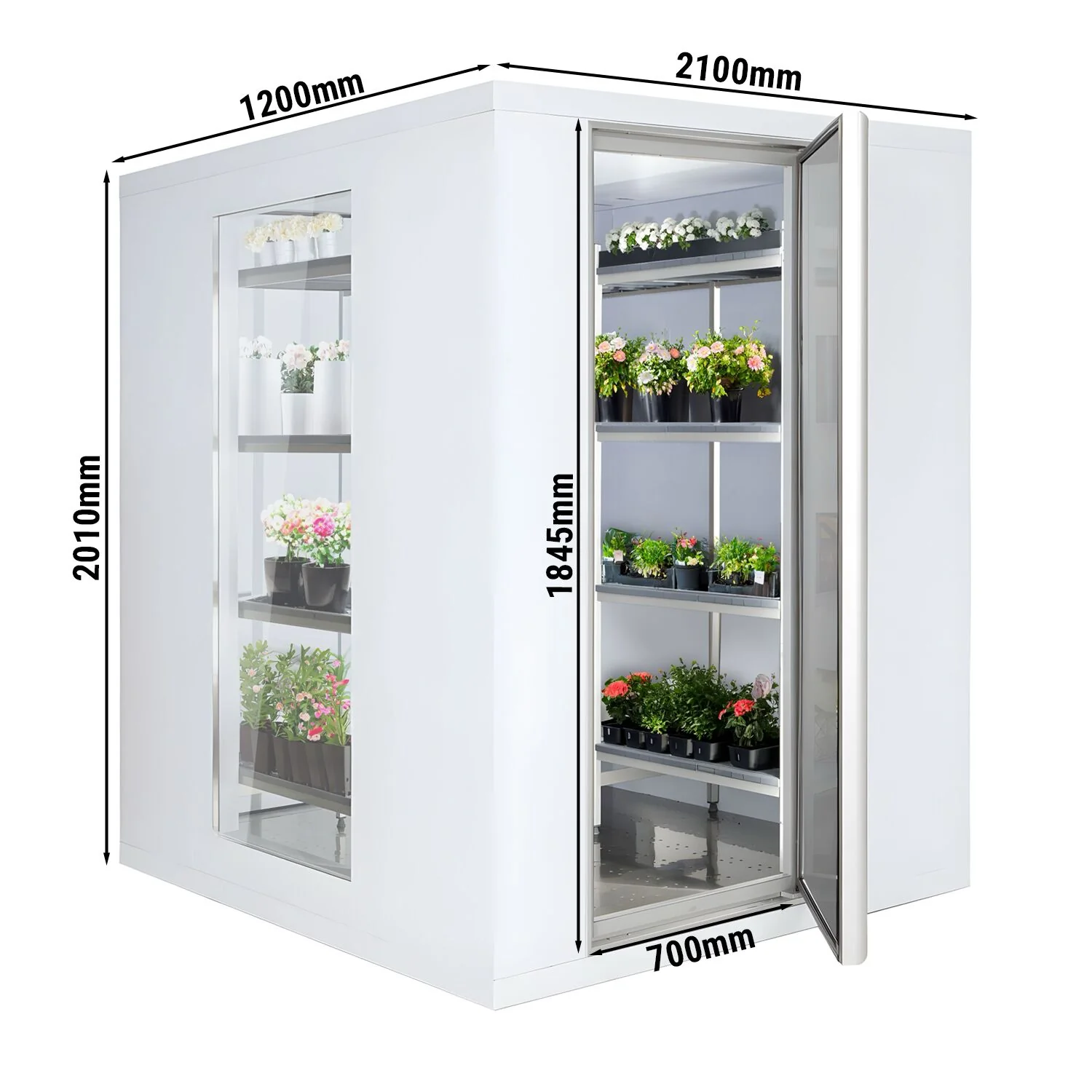Miniatyr 2